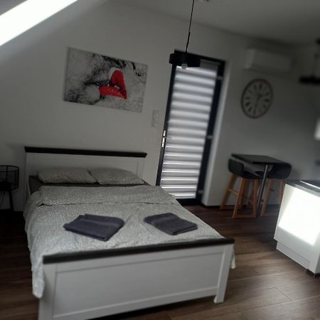 Apartament Muzyczny Jelenia Góra Εξωτερικό φωτογραφία