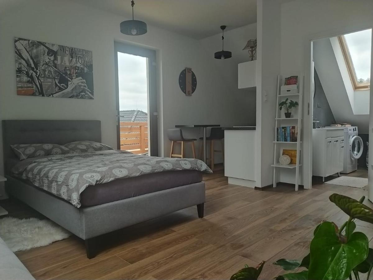 Apartament Muzyczny Jelenia Góra Εξωτερικό φωτογραφία