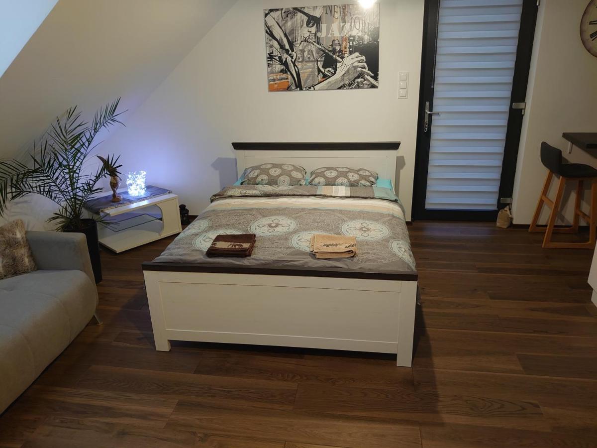 Apartament Muzyczny Jelenia Góra Εξωτερικό φωτογραφία